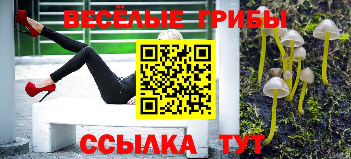 Псилоцибиновые грибы прущие грибы Гусев