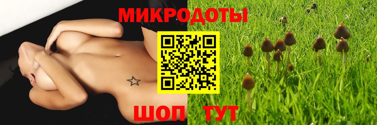 Псилоцибиновые грибы мицелий  купить наркотик  Гусев  Псилоцибиновые грибы мицелий  Вход с VPN 